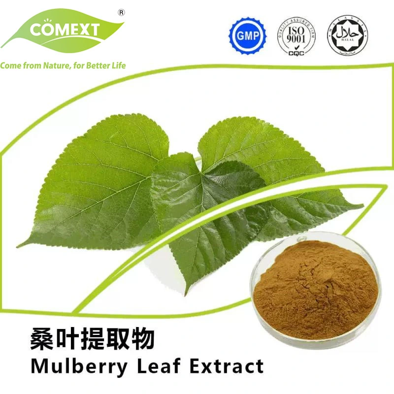 Comext China Manufacturer Free Sample 1% 2% 5% 10% HPLC 1-Deoxynojirimycin Dnj Powder Polysaccharides Morus Alba White Mulberry Leaf Extract for Blood Sugar