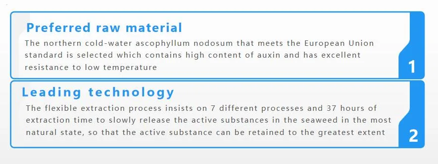 Seaweed Functional Fertilizer Provide High Quality Nutritions for Crops Growing