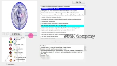 Analizador de salud física de la máquina Aura Chakra